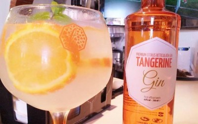 tangerine gin 10 vs standard