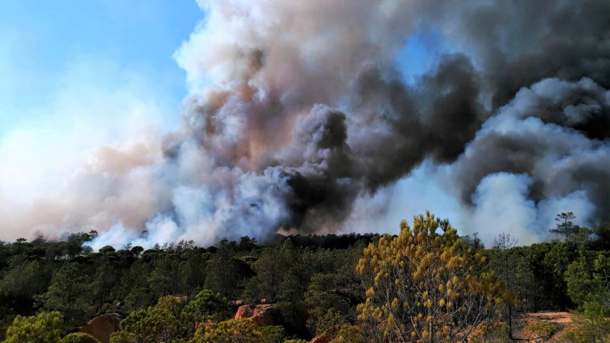 Algarve Teve Mais Incendios Em 2017 Mas Area Ardida Diminuiu E Muito