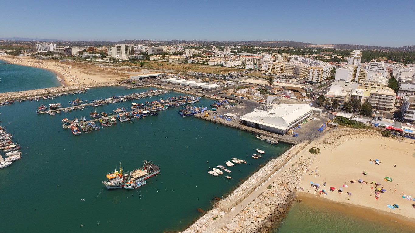 Docapesca Faz Testes Em Massa Nos Portos De Pesca Do Arade Quarteira E Sines 5562