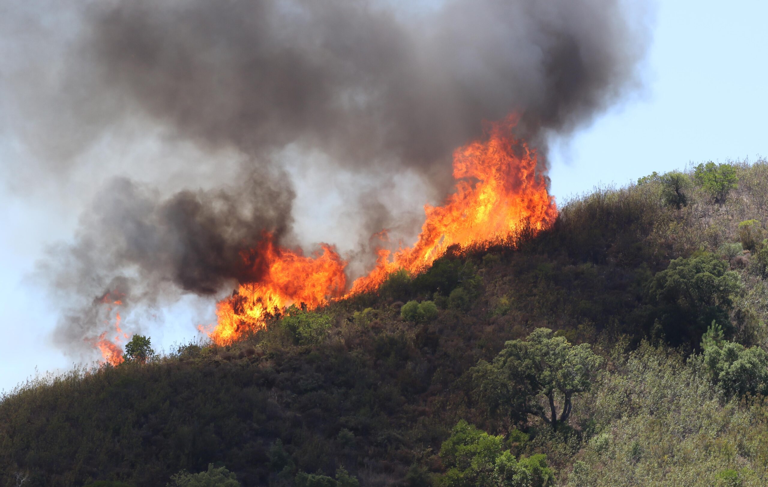 Quase 700 Bombeiros Continuam A Lutar Contra Incendio Que Passou De Saboia Para Monchique