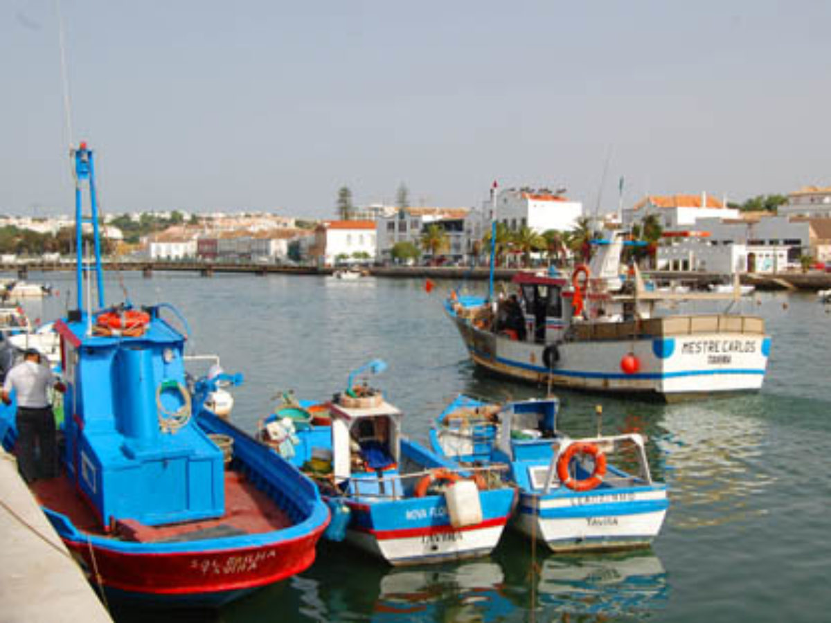 Marinas e Portos de Recreio - DGRM