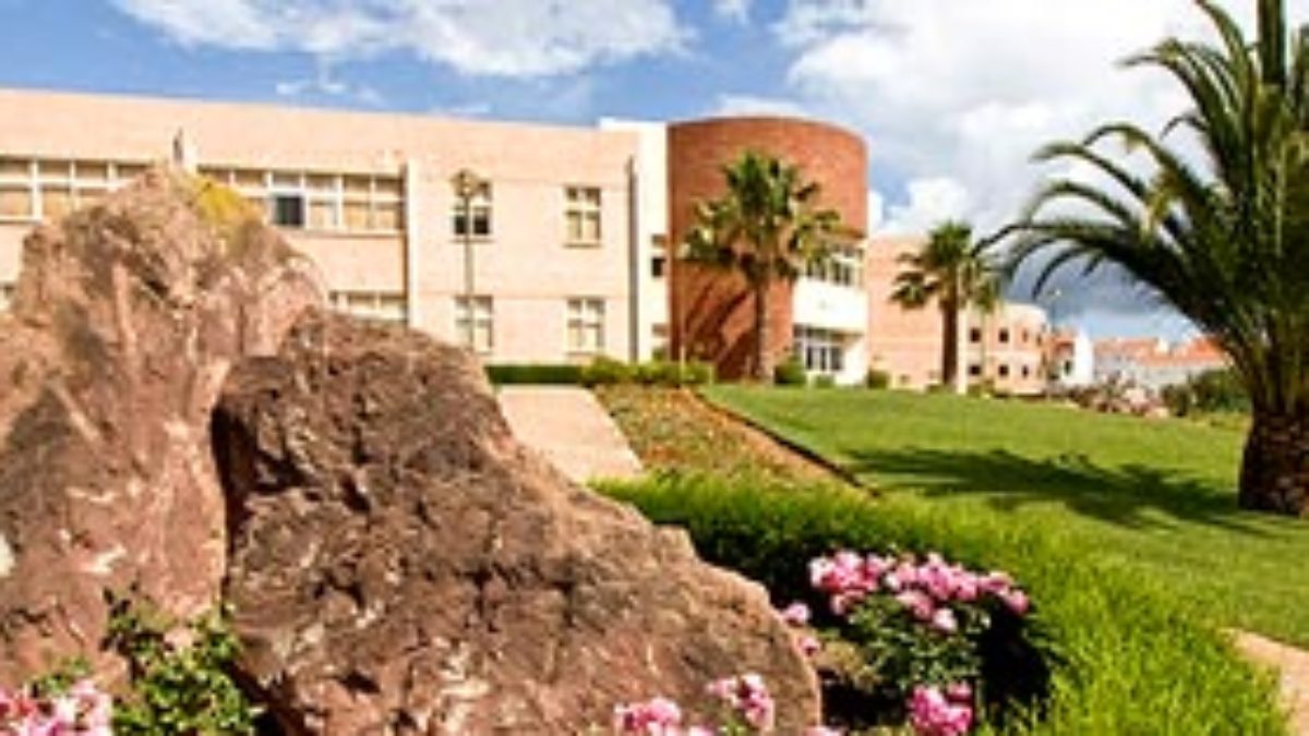 Instituto Piaget de Silves promove Universidade de Ver o